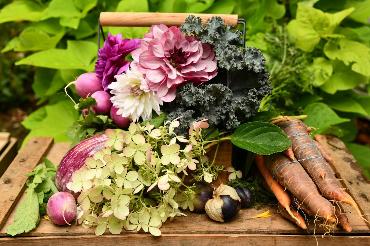 Ten Essential Garden Tools Every Rural Homeowner Needs