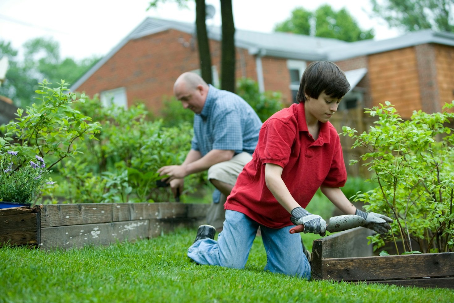 How to Choose the Best Rain Barrel for Your Yard