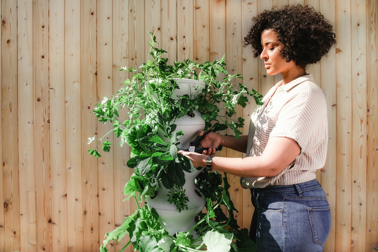 The Ultimate Buying Guide to Backyard Chicken Coops